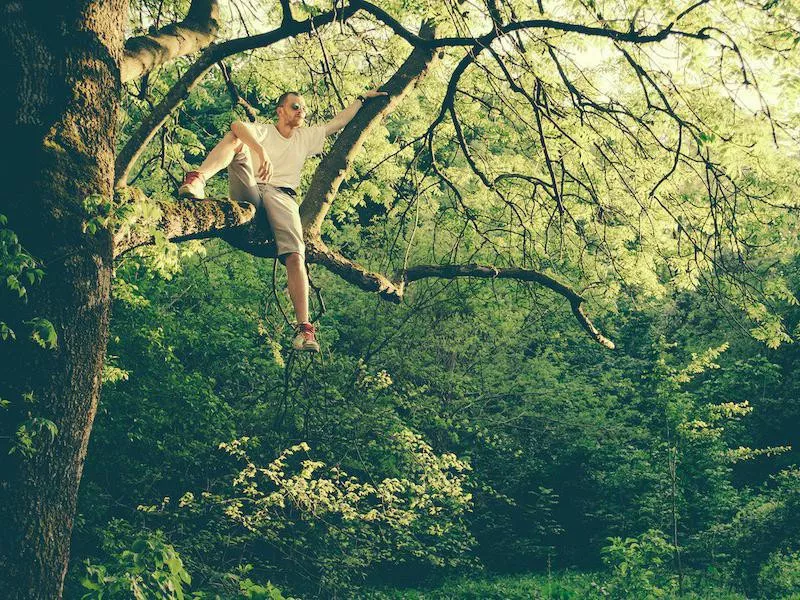 Climbing a tree