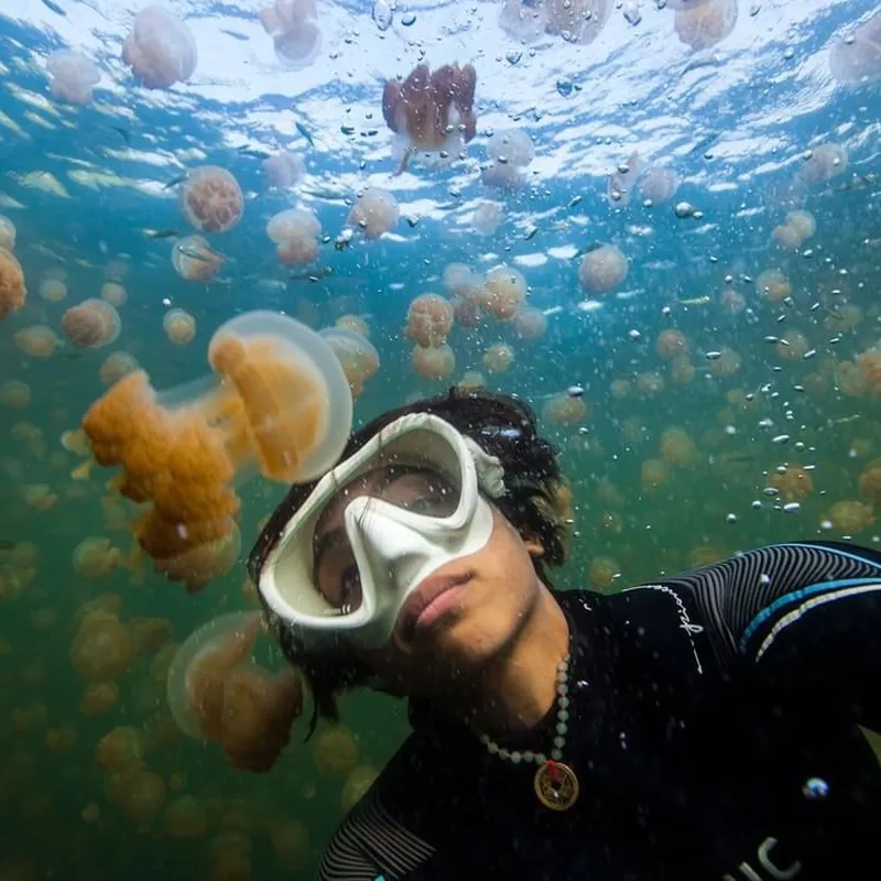 Jellyfish Lake