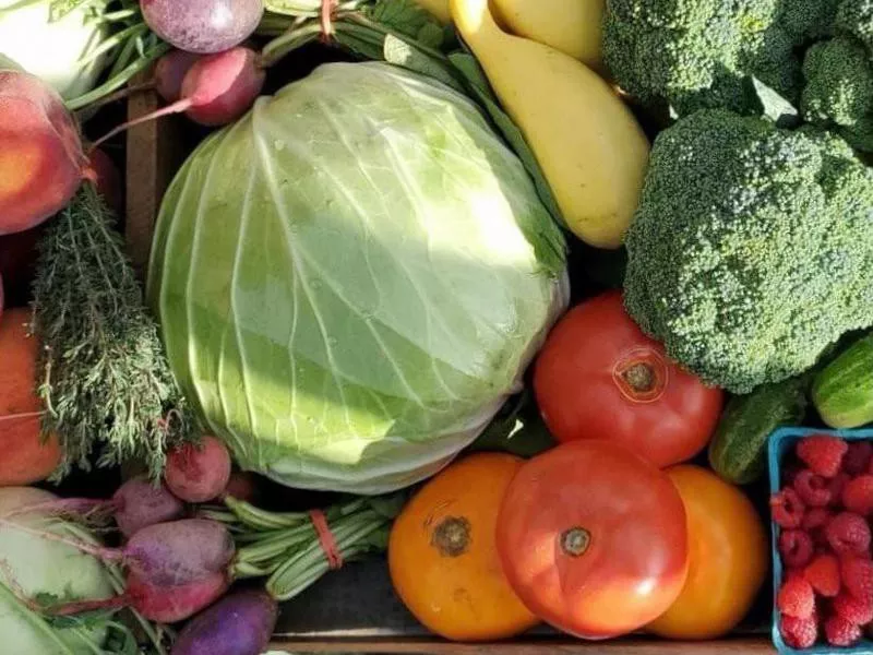 Vegetables at the Coventry Farmers Market