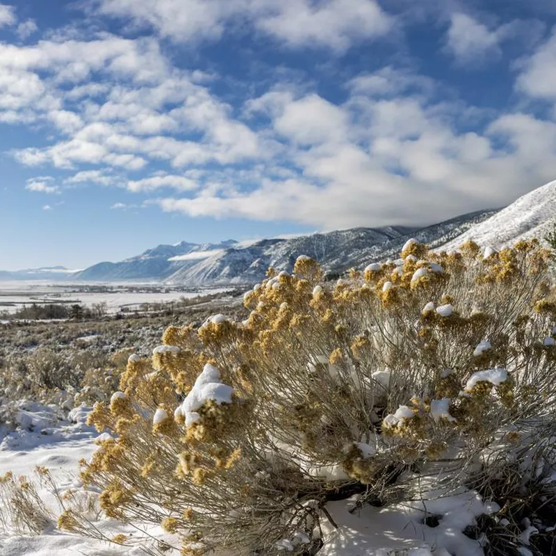 Snow Covered Carson Valley Sierra Nevada Mountians