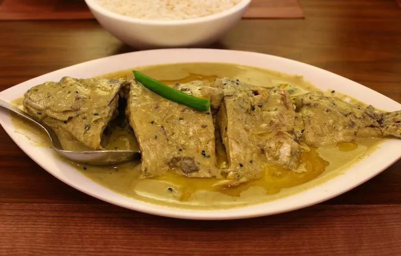 Hilsa fish