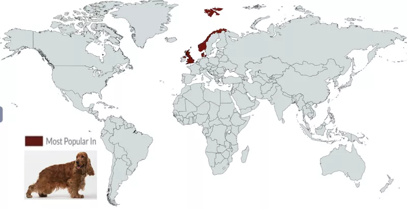 Cocker Spaniel Map