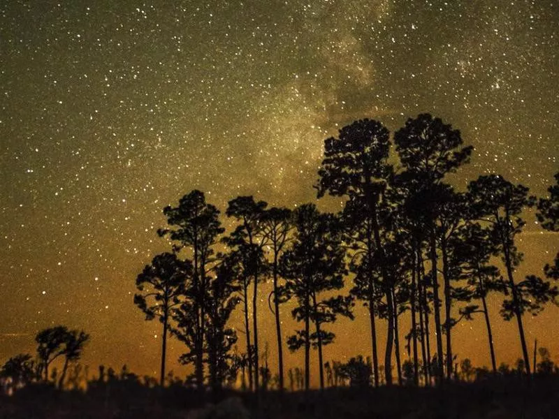 Stephen C. Foster State Park night