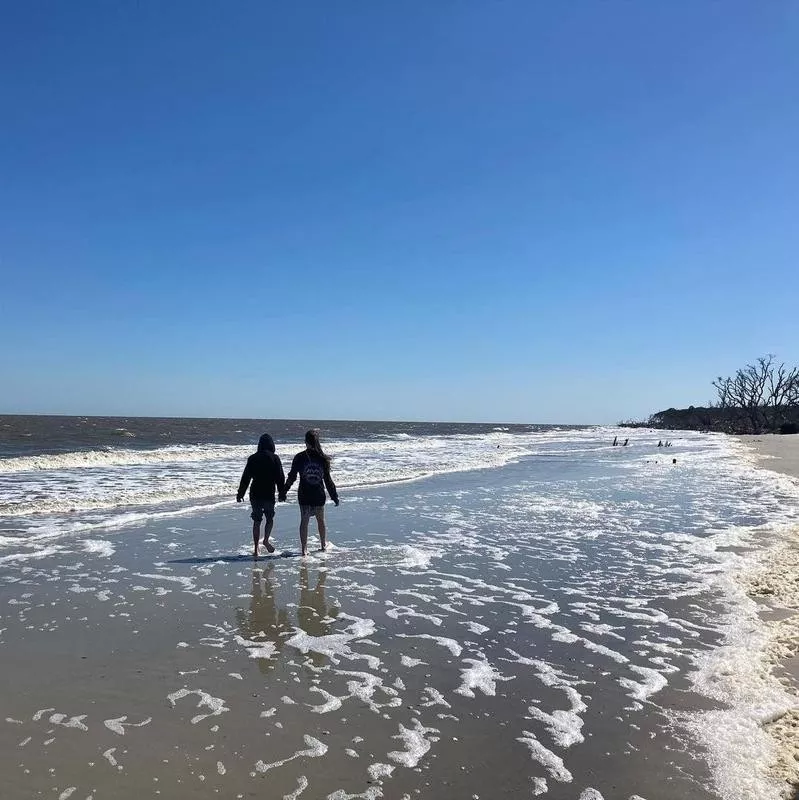 Driftwood Beach