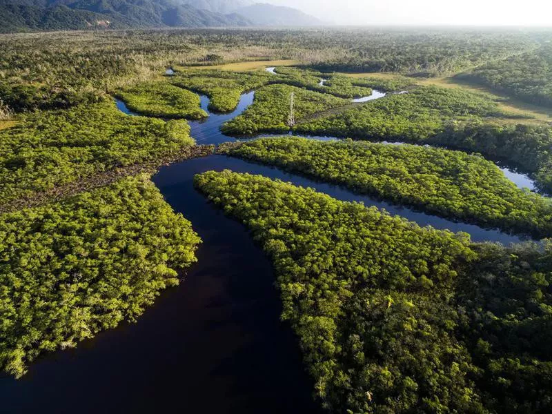 Aerial View of a Amazon River in Brazil