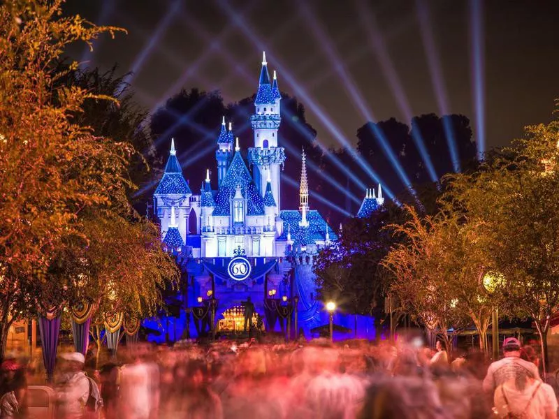 Cinderella Castle at night