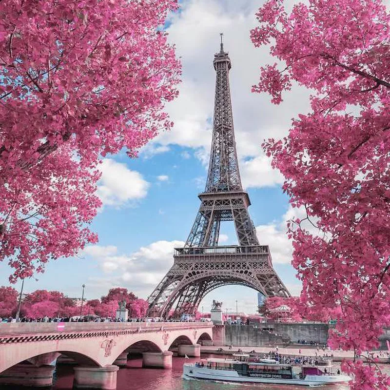 Paris in the spring