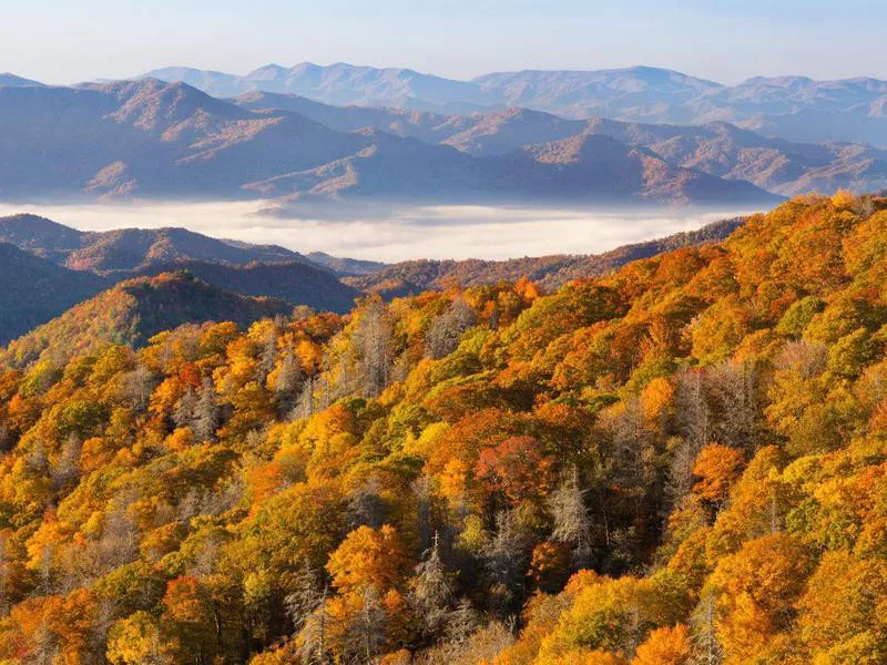 Great Smoky Mountains National Park, North Carolina