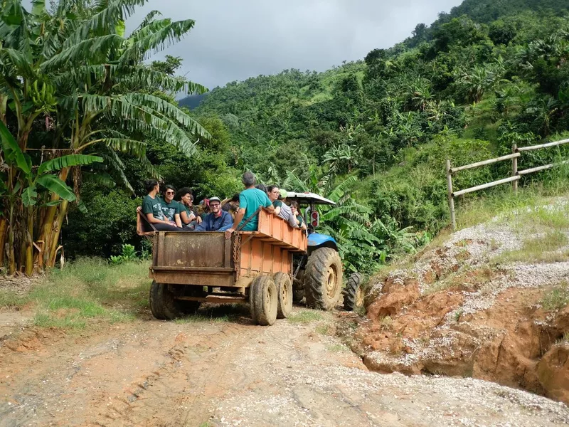 Coffee Farm tour