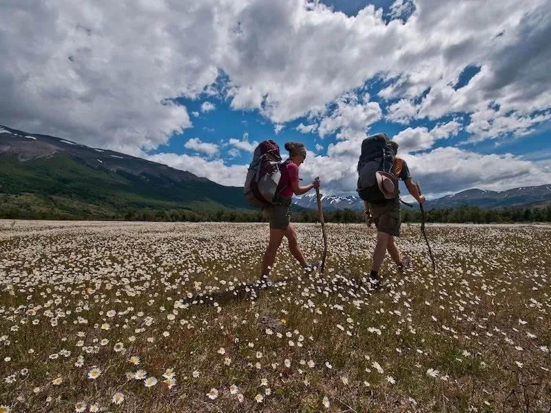 Patagonia