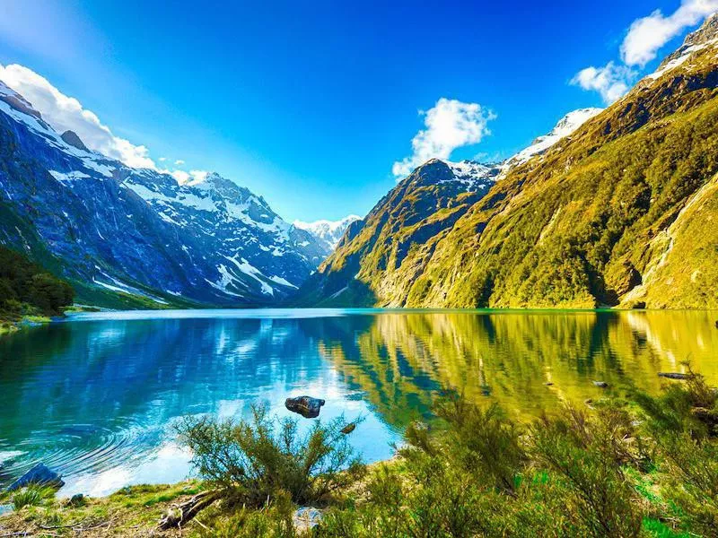 New Zealand