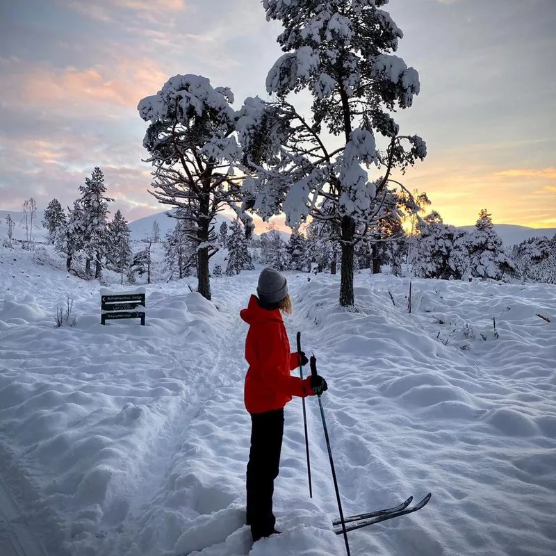 Skier on snowy mountain in Highlands