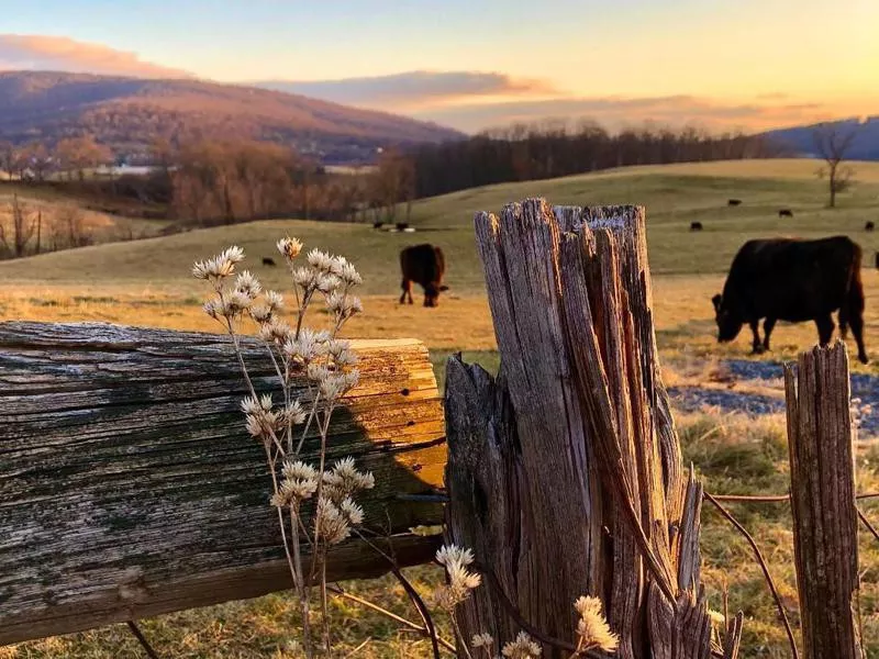 Farm in Sky Meadows State Park