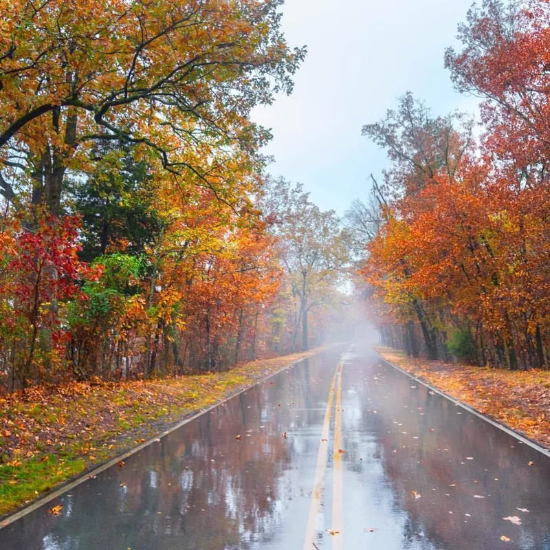 Foggy road at Hot Springs National Park