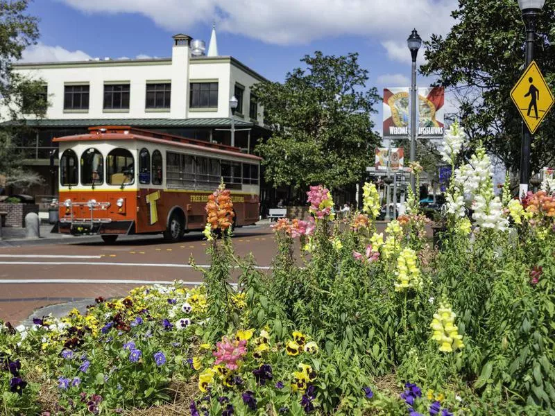 Old town trolley in Tallahassee