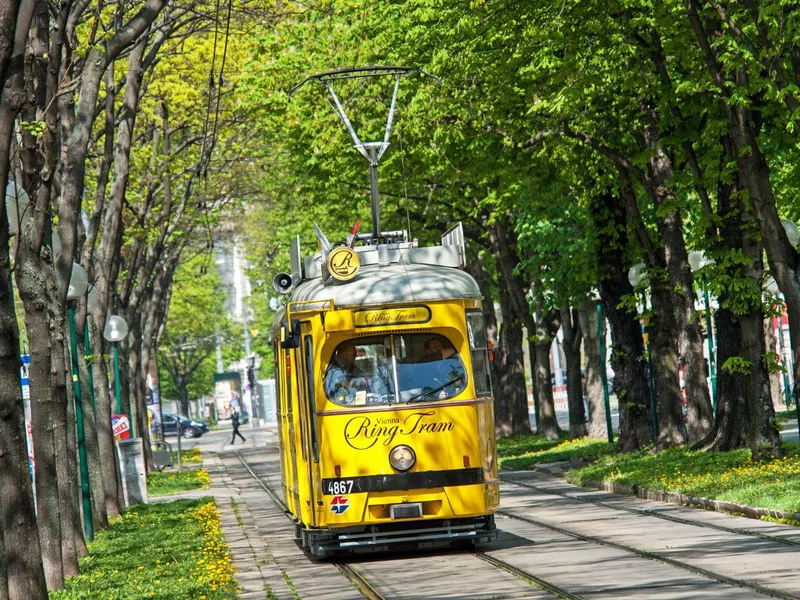 Vienna Ring Tram Sightseeing