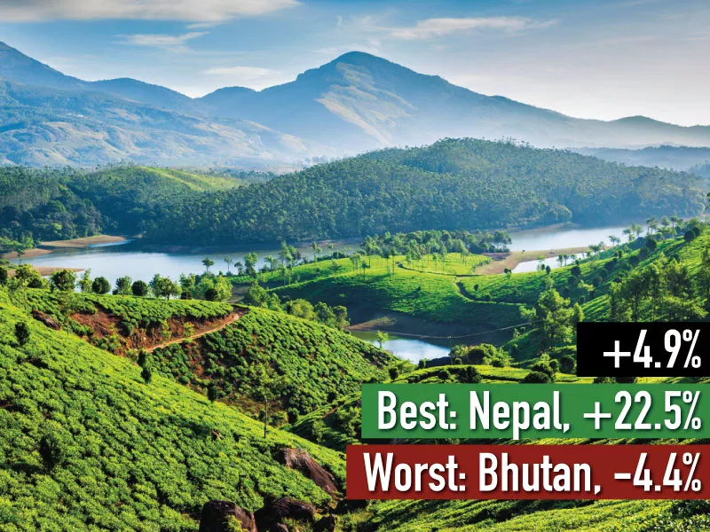 Tea plantations and river in hills. Kerala, India