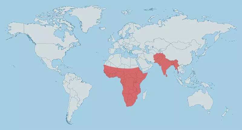 Drought map