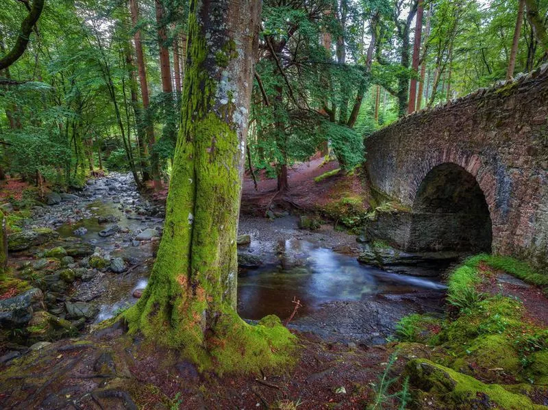 Tollymore Forest Park