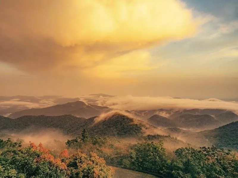 Brasstown Bald