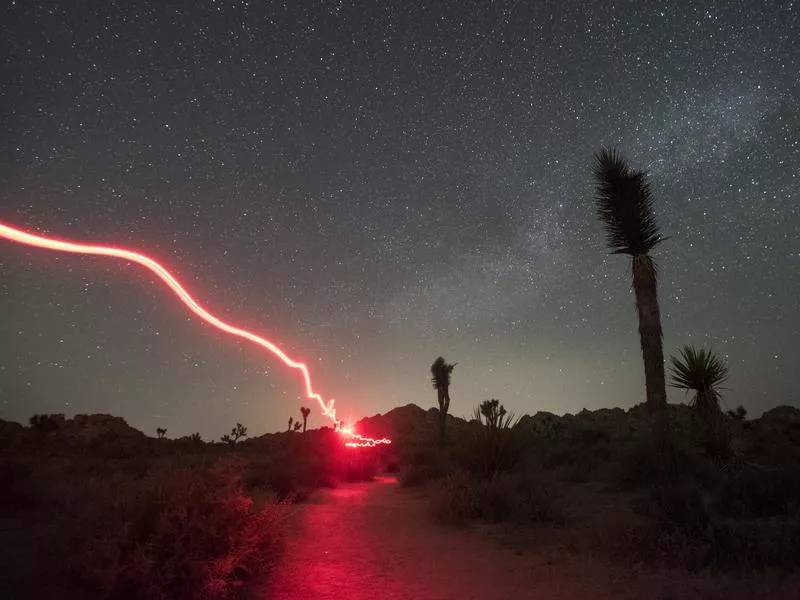 Joshua Tree National Park