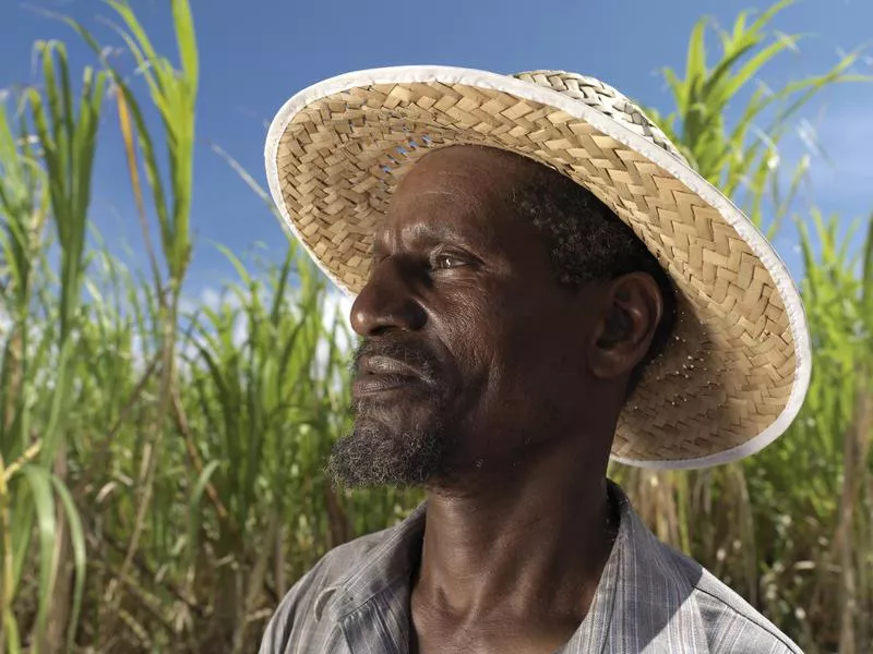 Man working on Barbados farm