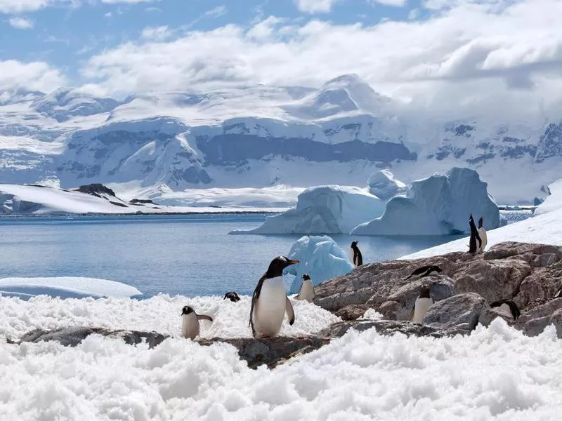 antarctica