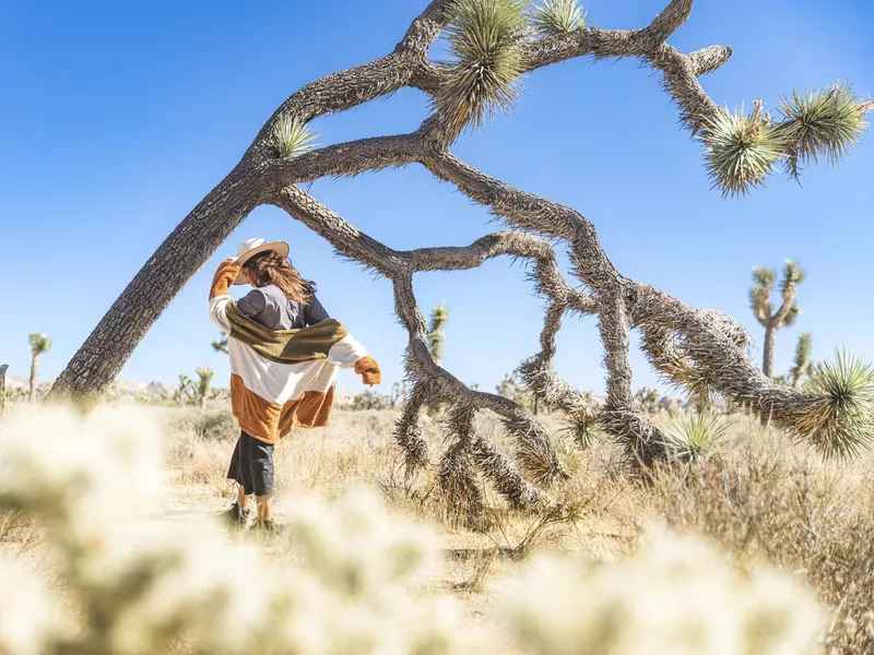 Woman wandering in Joshua Tree National Park