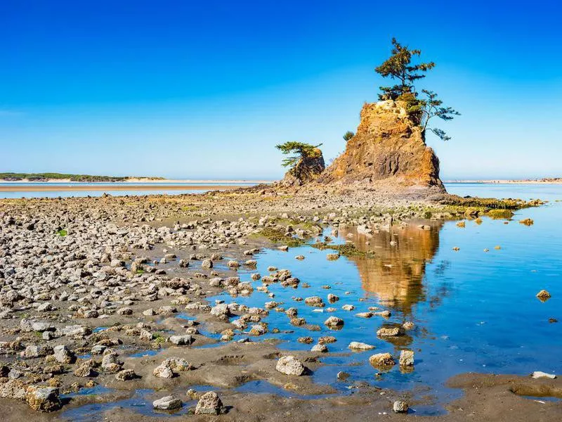 Lincoln City beach