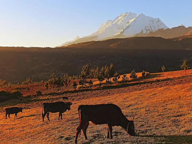 Cordillera Blanca