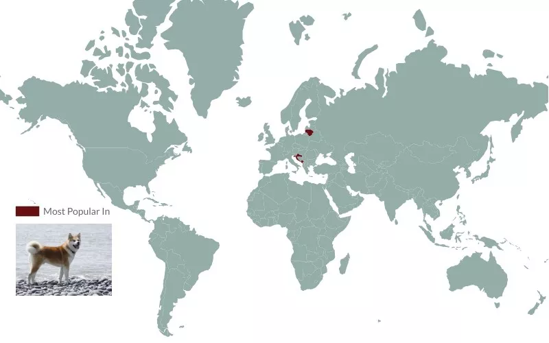 Akita popularity map