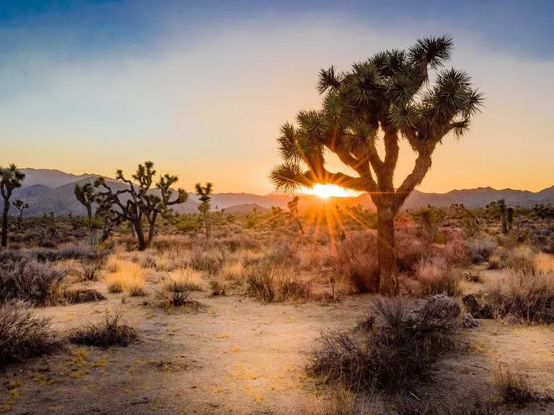 Joshua Tree National Park, California