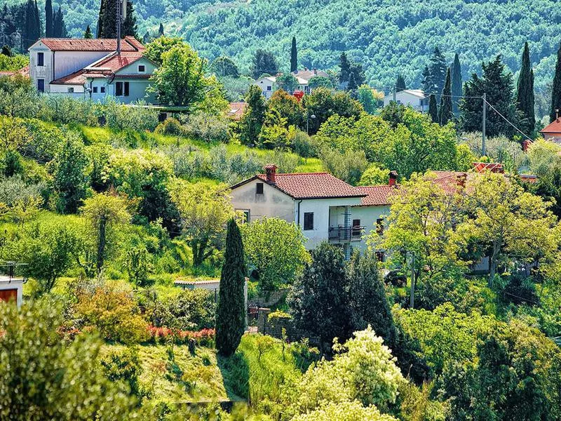 Slovenia hillside