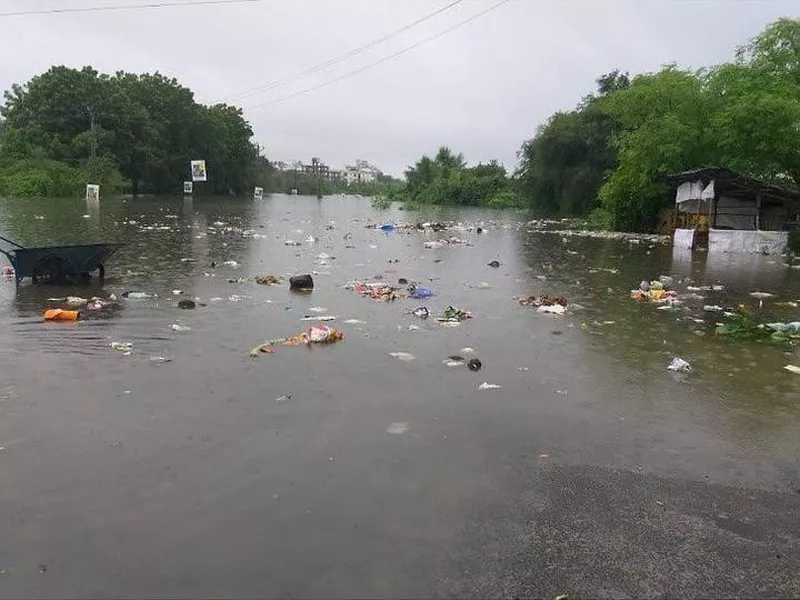 Pollution in the Vishwamitri River