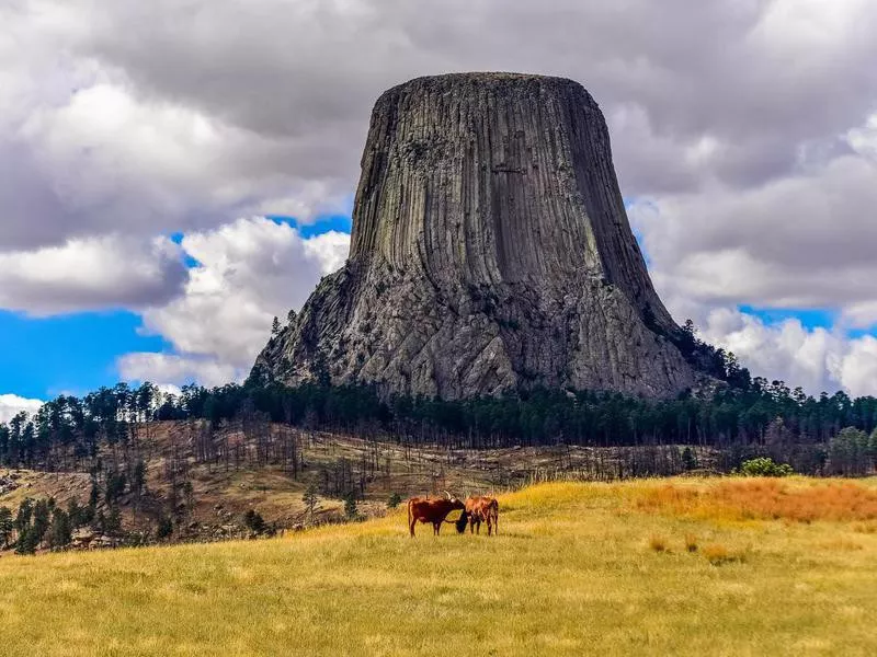 Devils Tower, Wyoming