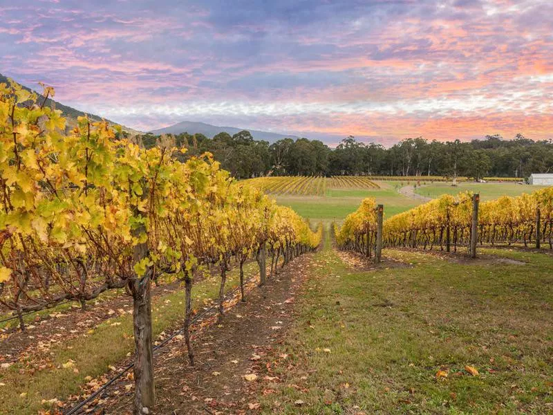 Yarra Valley, Australia