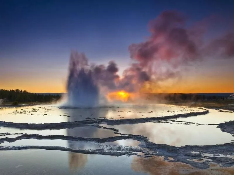 Geyser at Yellowstone National Park