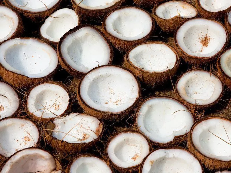 Coconuts