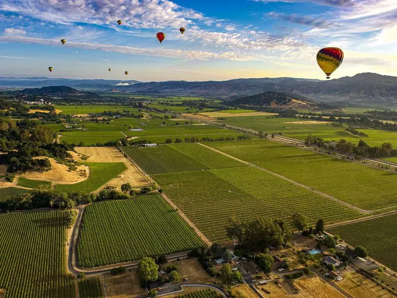 Napa Valley, California