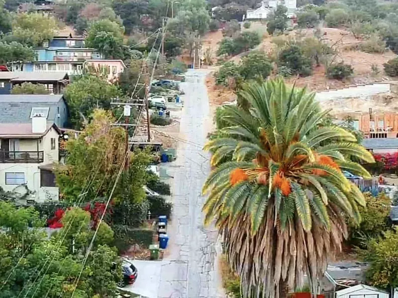 Looking up Eldred Street