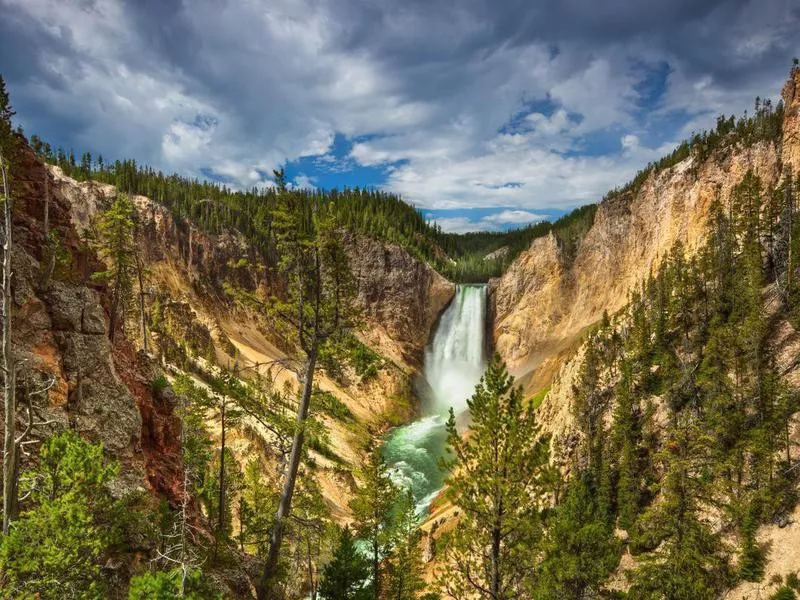 Yellowstone Falls