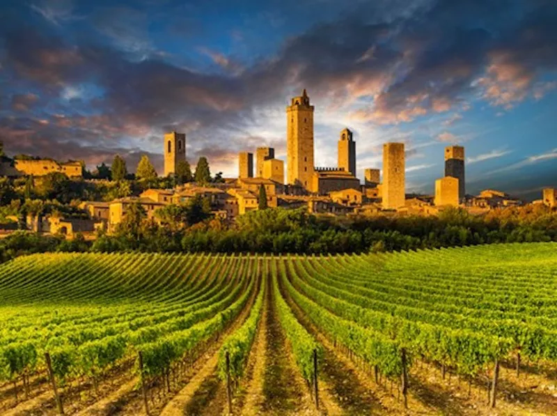 Tenuta Torciano Vineyards