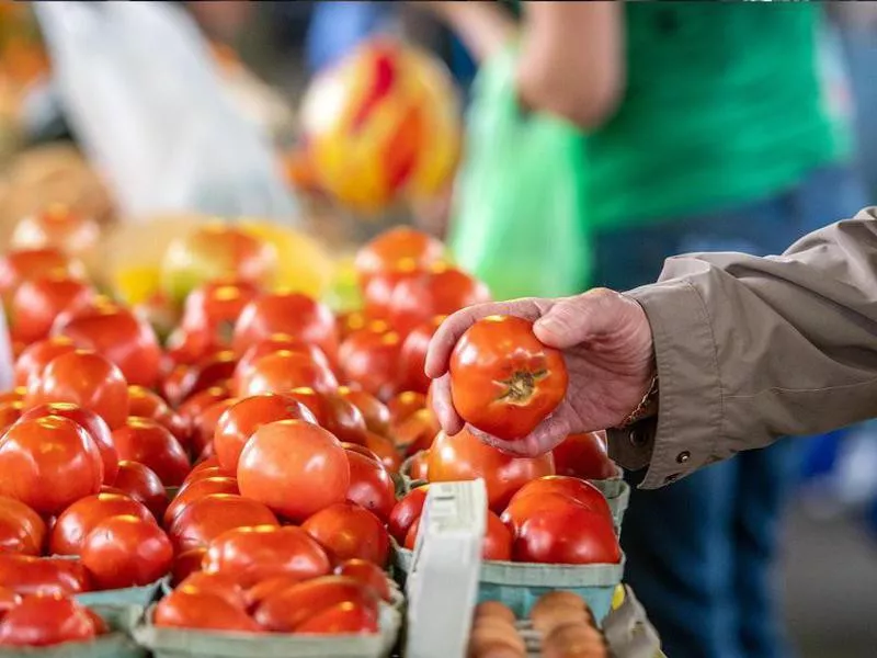 Baltimore Farmers Market & Bazaar