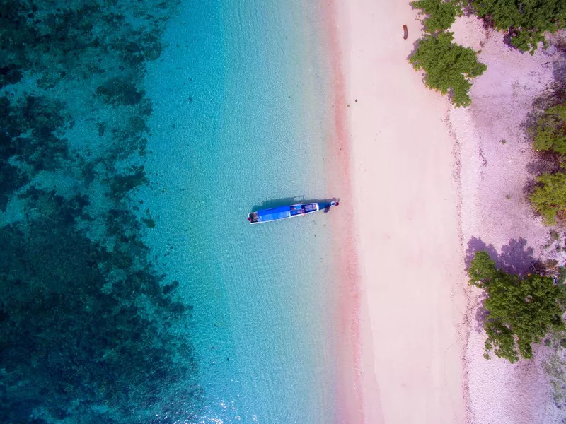 Aerial Pink Beach in Komodo Island