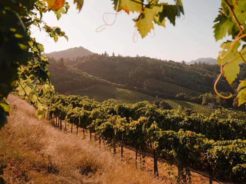 Dry Creek Valley in Healdsburg, California