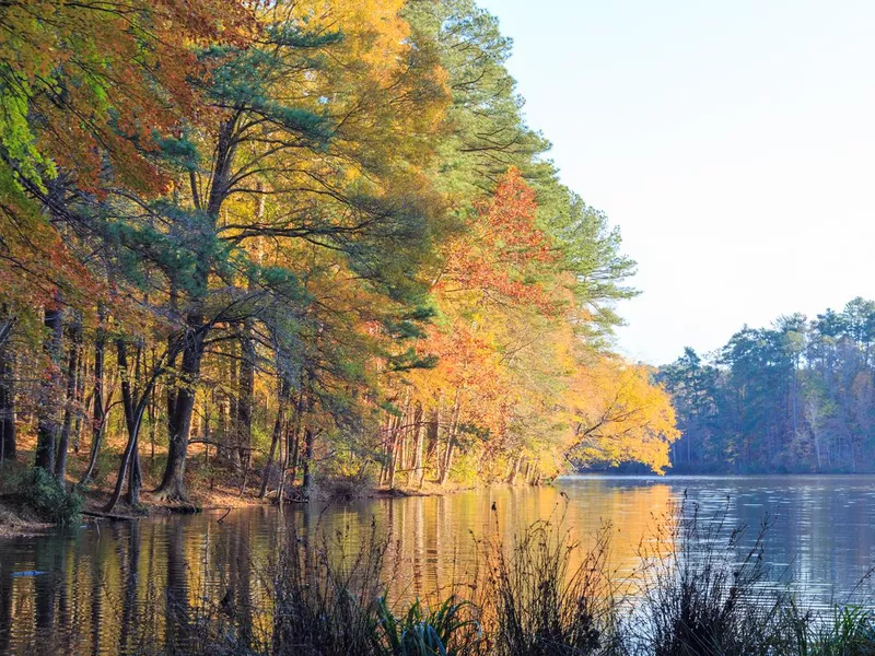 Lake Johnson in Raleigh