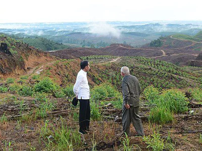 President Widodo planning Nusantara