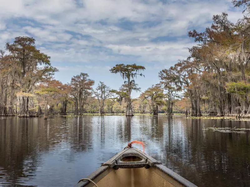 Canoeing on Caddo Lake, Texas