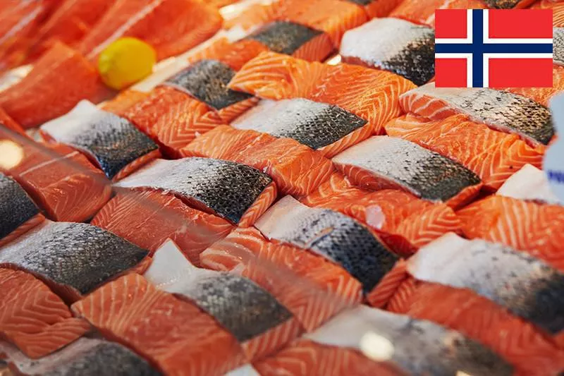 Norwegian salmon