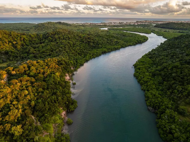 Pernambuco, Brazil Amazon